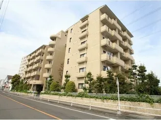 ウーリィパレス大森【3階】の外観