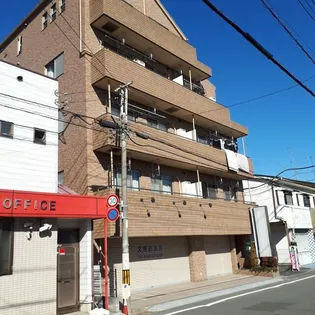 プラムグローブの画像
