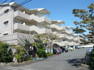 グレース新城【1階】の外観