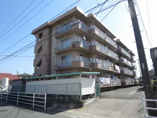 SENT FRANCISの画像