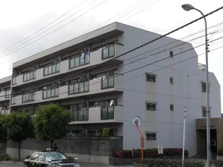 大阪府豊中市立花町3【マンション】の外観