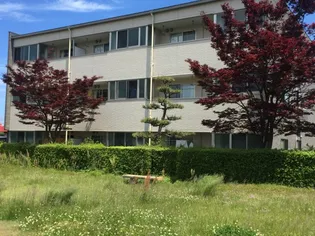 ブルグチトセの画像