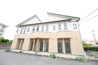 メゾフォルテの画像