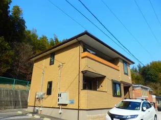 カトルセゾンAの画像