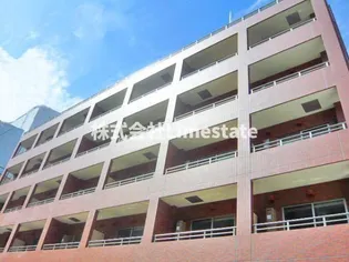 スターハイムの画像