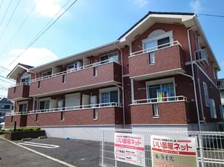 ブル アルベロの画像