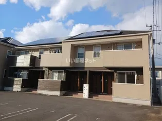 チェリ ブラッサムⅡの画像