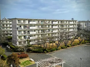 高洲第一団地の画像