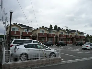 ヴィーナス 夏の画像