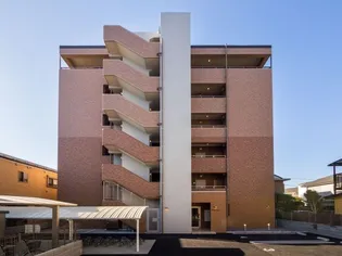 STELLA LUCEの画像