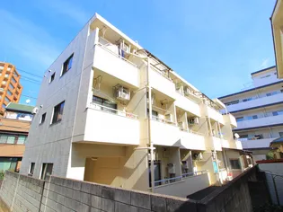 ハイツインディゴ【3階】の外観