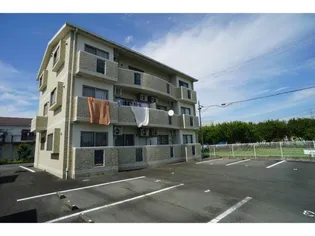 ボア ソルテCの画像