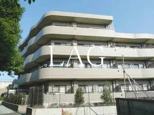 プリムローズの画像