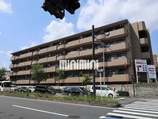 ルネス パルルの画像