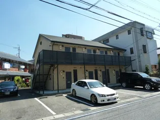 アンプルール リーブル POLOの画像