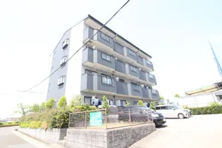 ソジュールの画像