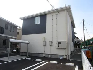 アプリコットの画像