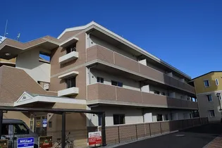 アイリスの画像