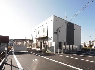 カトレアの画像