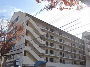 CORTESE天理の画像