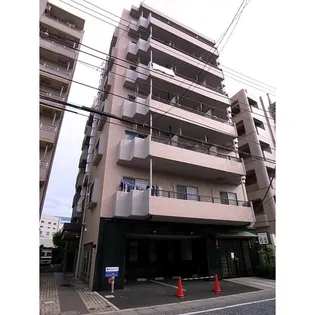 チェリーブロッサムの画像