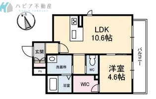 Regio二番町【2階】の間取り