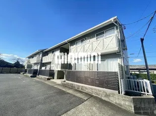 フレグランス桜の画像