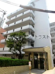 ヴェルデミキの画像