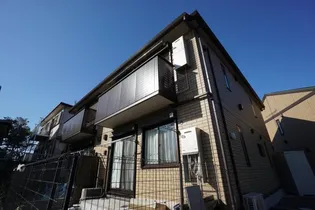 べべソラーナの画像