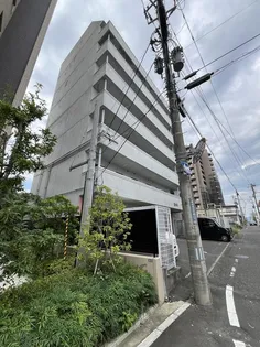 ロイヤルパレス清水台【8階】の外観