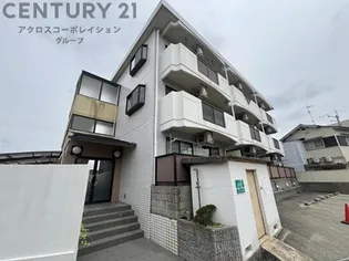 ホワイトハイツの画像