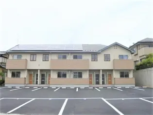 ソラーナ八山田の画像