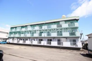 ニューサンシティコープの画像