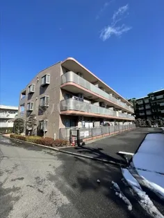 グレースコート法典の画像