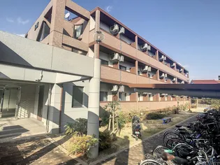 Univer City築地(チクチ)B館【1階】の外観