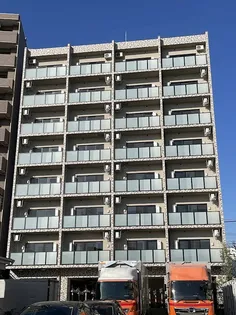 ミリアビタNO 42の画像