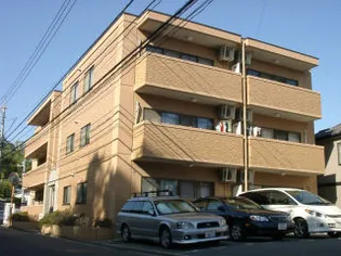 高須フィグハウスの画像