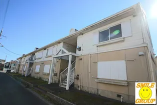 ウェルシャンYの画像