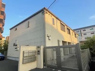 ソラーナコガネの画像