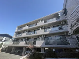 ロイヤルマリーンハイムの画像