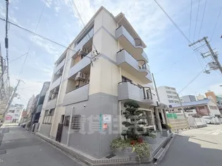 アステルサカエの画像