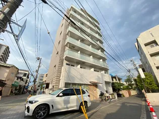 HALE ARAIの画像