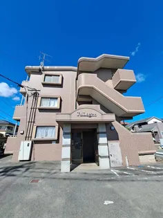 ジュライトの画像