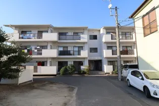 岡山県岡山市北区久米【マンション】の外観