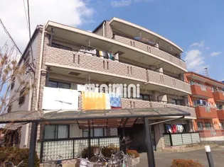 ハイビスカス2の画像