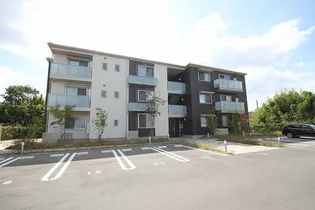 べレオ大財の画像