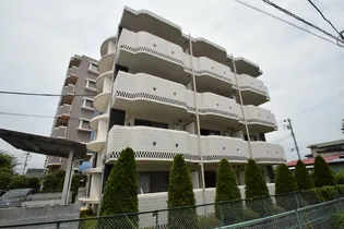 エクロールの画像