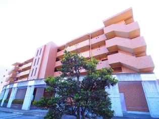 クレサンテームの画像