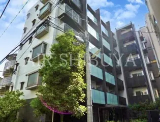 CYNTHIA代田橋IIIの画像