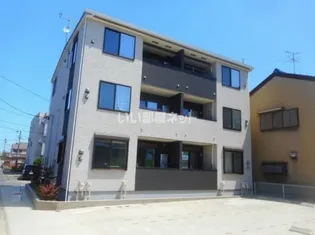 ラナンキュラスⅡの画像